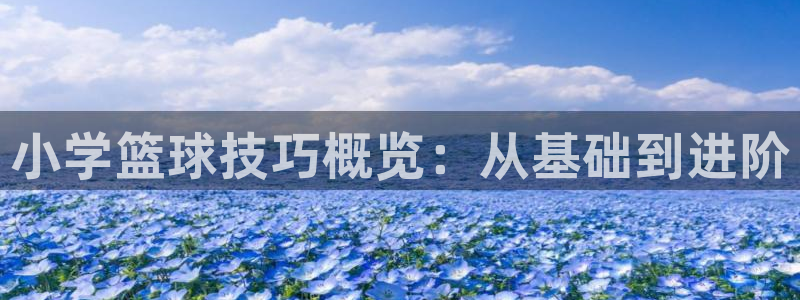 小学篮球技巧概览：从基础到进阶