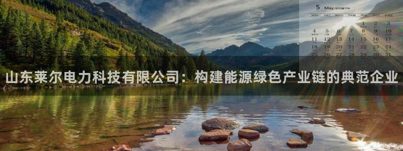 山东莱尔电力科技有限公司：构建能源绿色产业链的典范企业