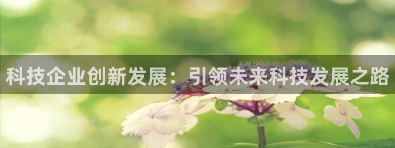 科技企业创新发展：引领未来科技发展之路