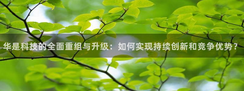 华是科技的全面重组与升级：如何实现持续创新和竞争优势？