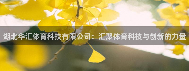 湖北华汇体育科技有限公司：汇聚体育科技与创新的力量