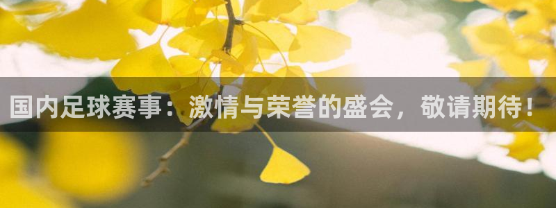 国内足球赛事：激情与荣誉的盛会，敬请期待！