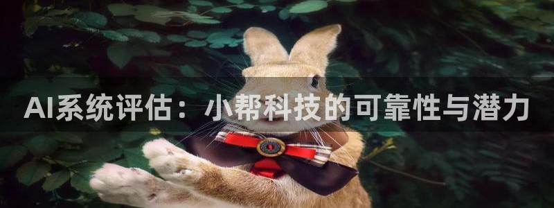 AI系统评估：小帮科技的可靠性与潜力