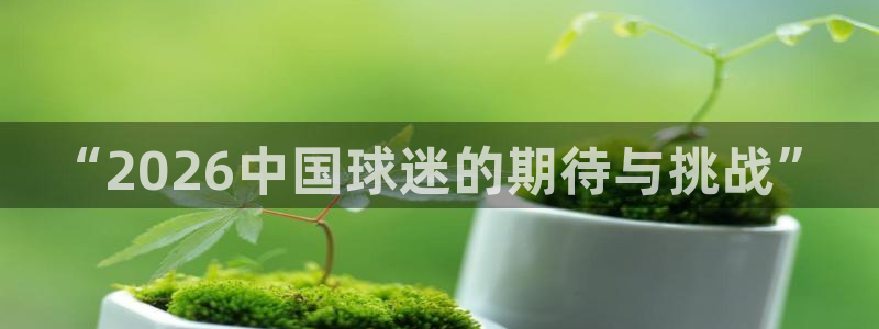“2026中国球迷的期待与挑战”