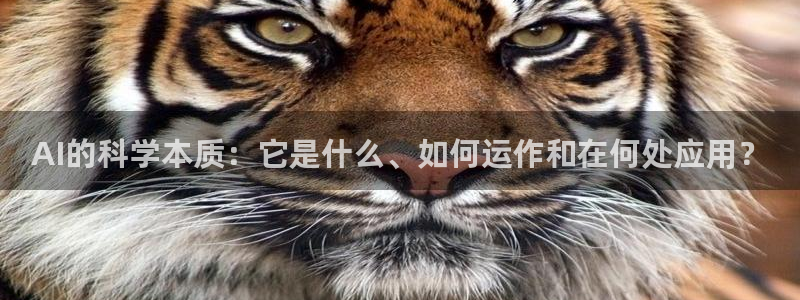 AI的科学本质：它是什么、如何运作和在何处应用？