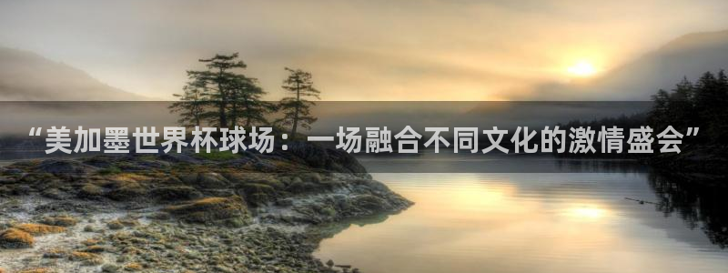 “美加墨世界杯球场：一场融合不同文化的激情盛会”