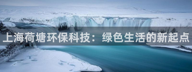 上海荷塘环保科技：绿色生活的新起点