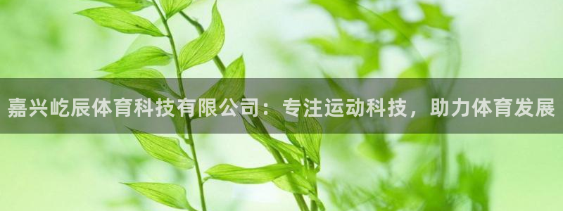 嘉兴屹辰体育科技有限公司：专注运动科技，助力体育发展