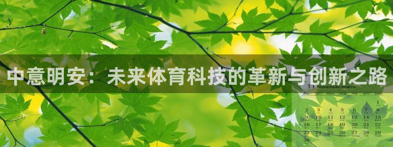 中意明安：未来体育科技的革新与创新之路