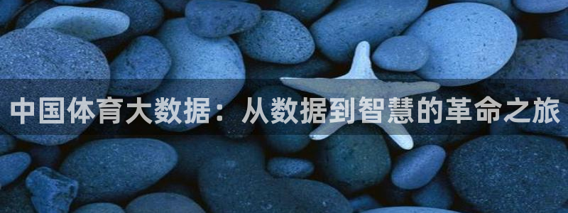 中国体育大数据：从数据到智慧的革命之旅