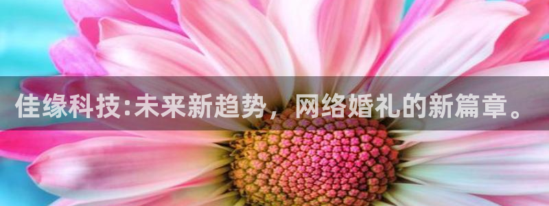 佳缘科技:未来新趋势，网络婚礼的新篇章。