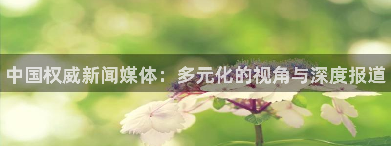 中国权威新闻媒体：多元化的视角与深度报道
