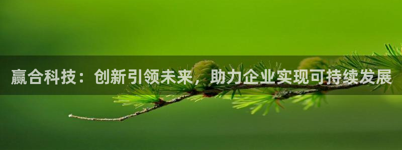 赢合科技：创新引领未来，助力企业实现可持续发展