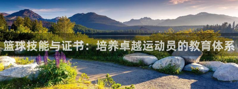 篮球技能与证书：培养卓越运动员的教育体系