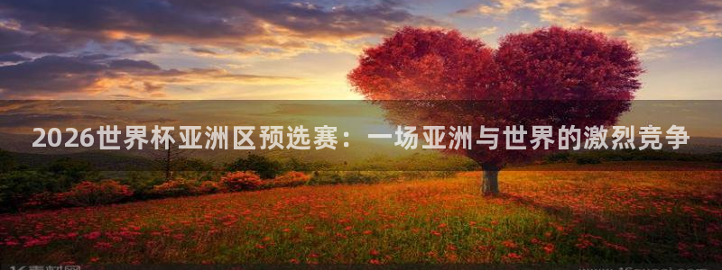 2026世界杯亚洲区预选赛：一场亚洲与世界的激烈竞争