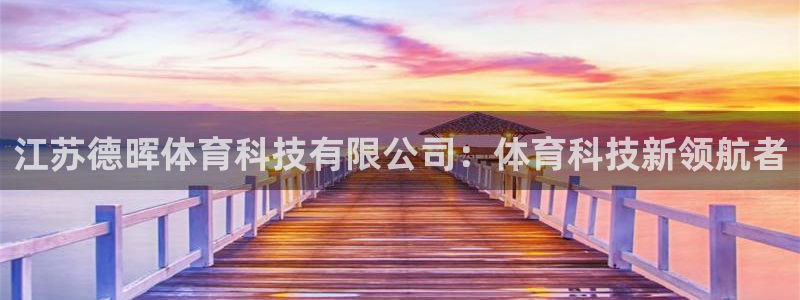 江苏德晖体育科技有限公司：体育科技新领航者