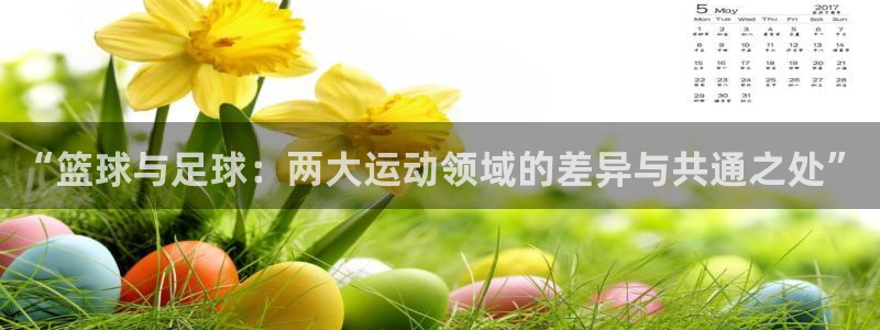 “篮球与足球：两大运动领域的差异与共通之处”