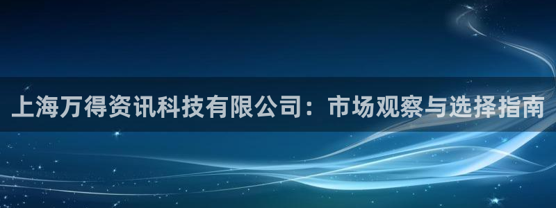 上海万得资讯科技有限公司：市场观察与选择指南