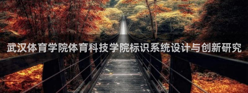 武汉体育学院体育科技学院标识系统设计与创新研究