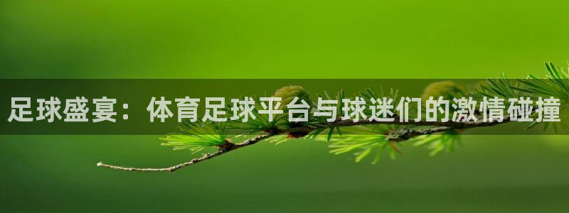 足球盛宴：体育足球平台与球迷们的激情碰撞