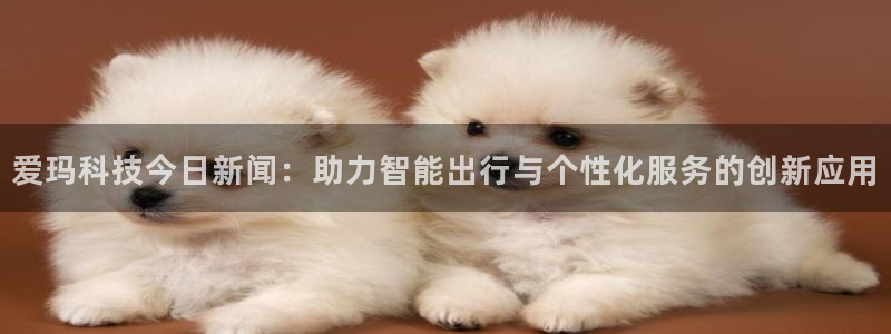 爱玛科技今日新闻：助力智能出行与个性化服务的创新应用