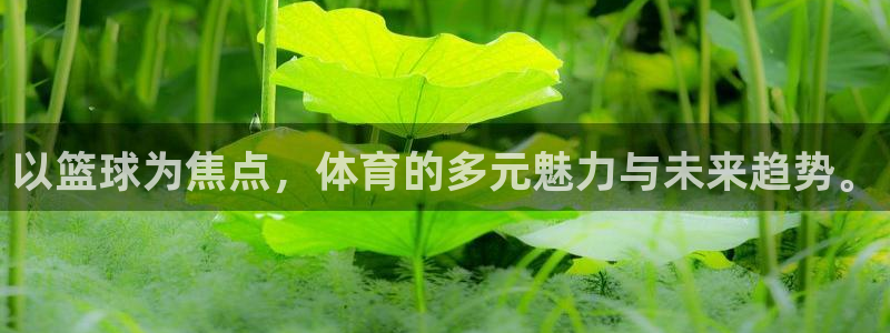 以篮球为焦点，体育的多元魅力与未来趋势。