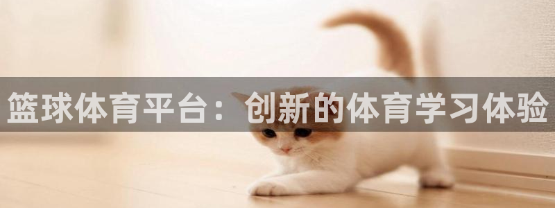 篮球体育平台：创新的体育学习体验